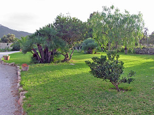 Gartenanlage Gartenanlage