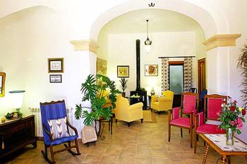 Salon mit Kamin und Sat-TV Salon mit Kamin und Sat-TV