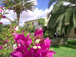 Finca Finca