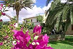 Apartments in einer Finca auf Mallorca (Nr. 0372)