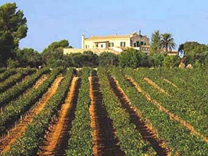 Altes Landgut mit Hotel auf Mallorca