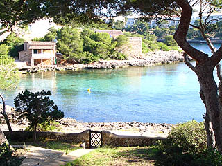 Kleiner Badestrand am Ferienhaus Kleiner Badestrand am Ferienhaus