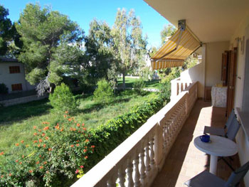 Blick in den Garten