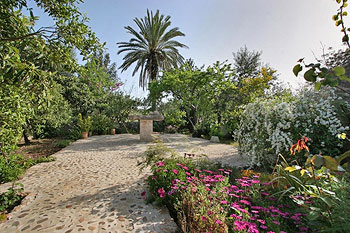Garten Garten