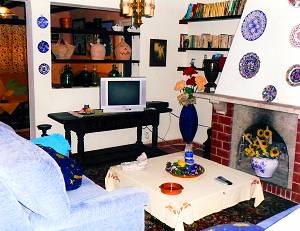 Wohnzimmer mit Sat-TV und Kamin Wohnzimmer mit Sat-TV und Kamin