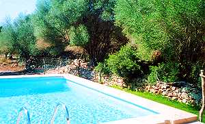Pool Pool