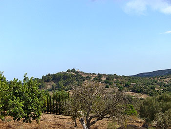 Ausblick Ausblick