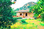 Ferienhaus auf Mallorca in Soller (Nr. 0453)