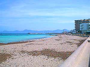Strand von Can Picafort Strand von Can Picafort