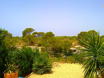 Ferienhaus in Cala Pi Ferienhaus in Cala Pi