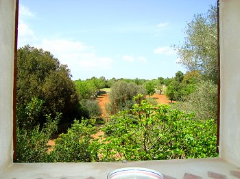 Ruhige Lage auf dem Land Ruhige Lage auf dem Land