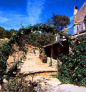 Finca Mallorca, finca mallorca