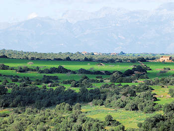 Ferienvilla mit Panoramablick