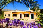 Günstiges Ferienhaus in ruhiger Lage - nahe Cala San Vicente (Nr. 0612)