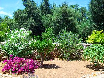 Garten Garten