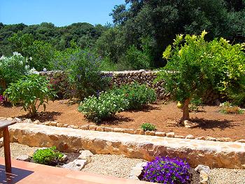 Ferienwohnung mit kleinem Garten Ferienwohnung mit kleinem Garten