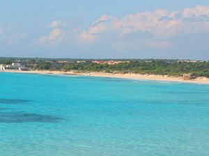 Apartments Mallorca mit Meerblick 