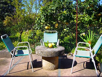 Ferienhaus am Ortsrand von Soller Ferienhaus am Ortsrand von Soller