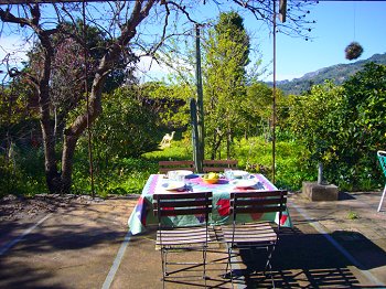 Möblierte Terrasse mit Blick in den Garten Möblierte Terrasse mit Blick in den Garten