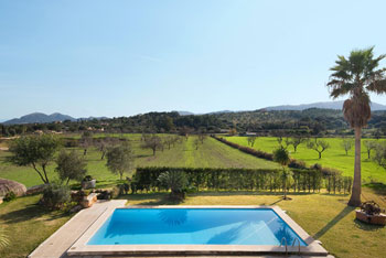 Pool und Garten