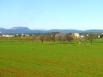 Panoramablick Panoramablick