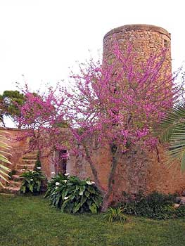 Alte Mühle im Garten