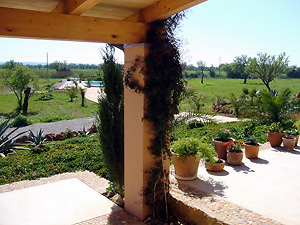 Blick in den Garten Blick in den Garten