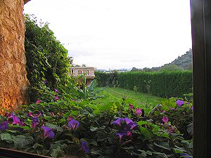 Garten Garten
