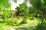 Mallorca Finca Urlaub&nbsp;(295)