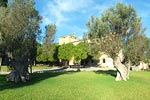 Herrenhaus auf Mallorca, geeignet f�r Ihre Hochzeit auf Mallorca