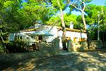 Ferienhaus strandnah und in Alleinlage am Wald (631)