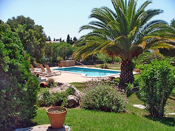 Pool im Garten Pool im Garten