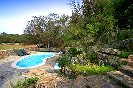 Pool Pool
