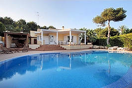 Ferienhaus und Pool