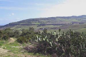 an der s�dlichen Costa de la Luz in Andalusien mit Pool und Sauna