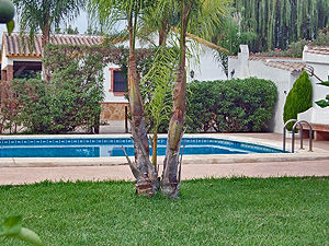 Ferienhaus Costa del Sol