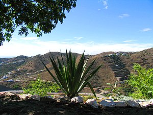 Villa in Andalusien mit Meerblick 