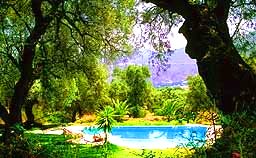 Ferienhaus in Andalusien mit Pool