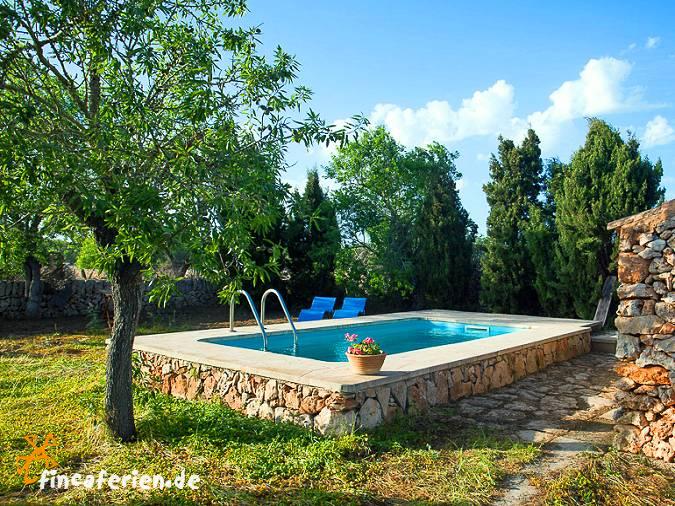 Pool Im Garten Aufstellen Vermieter Fragen