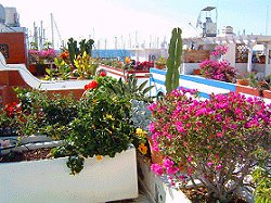Apartment Gran Canaria 