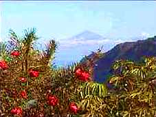 Gomera Hermigua, gomera hermigua