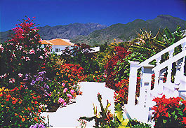 Ferienwohnung La Palma Ferienwohnungen