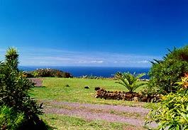 Ferienwohnung La Palma Ferienwohnungen