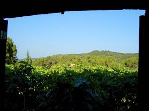 Aussicht zum Tramuntana- Naturschutzgebiet