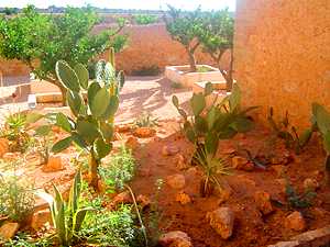 Garten um den Landsitz auf Mallorca