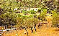 Finca auf Mallorca