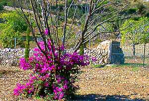 Finca auf Mallorca