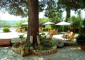 Hotel Mallorca 
