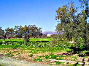 Ferienhaus Andalusien mit Pool für 5 Personen bei Alhaurin el Grande 