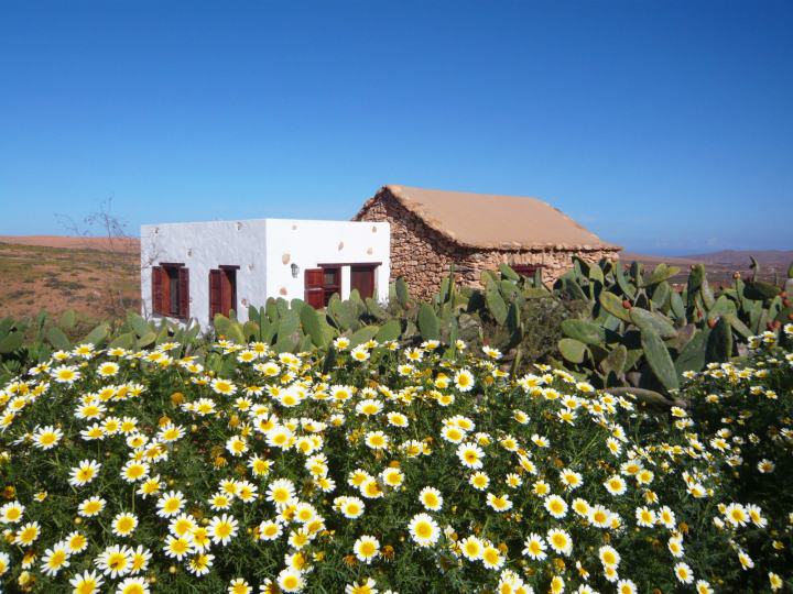 Günstiges Ferienhaus Fuerteventura — Ferienhaus